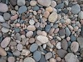 Mackinaw Island Area May 2008 1321